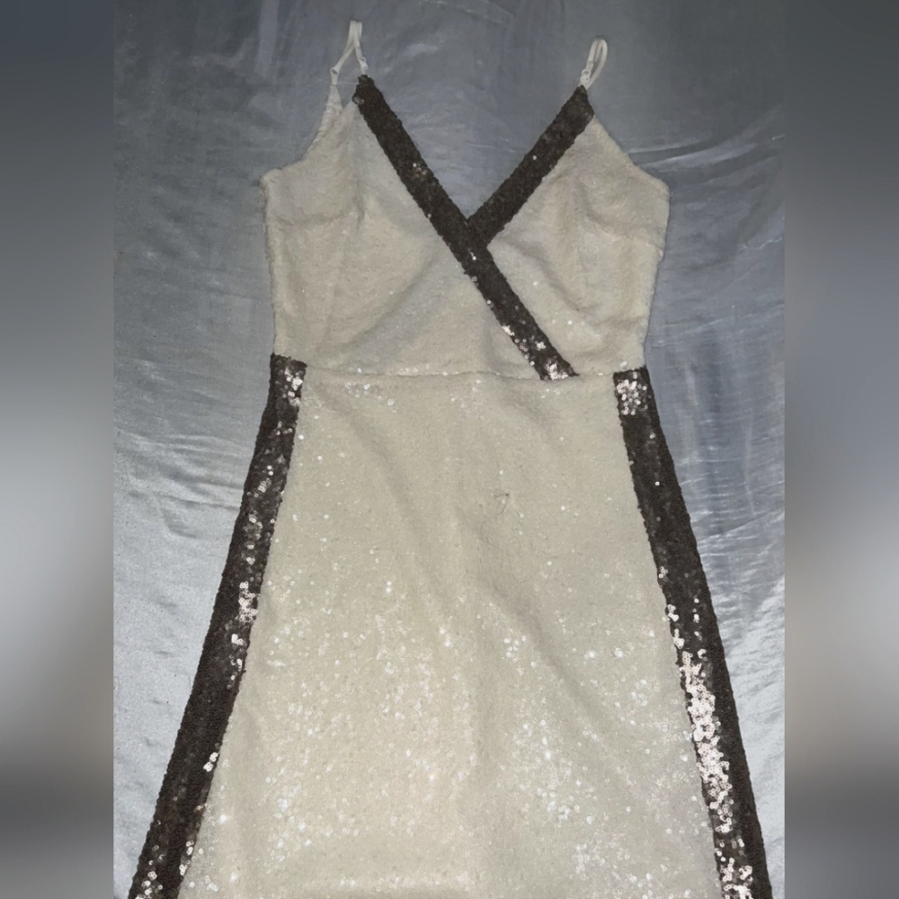 Francesca's Sequined Dress Small
